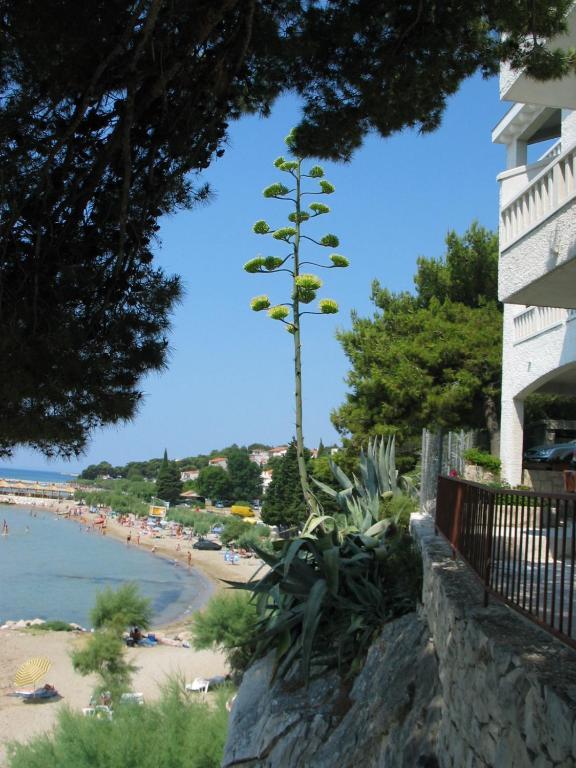 Apartments Agava-Mirjana Omiš Extérieur photo
